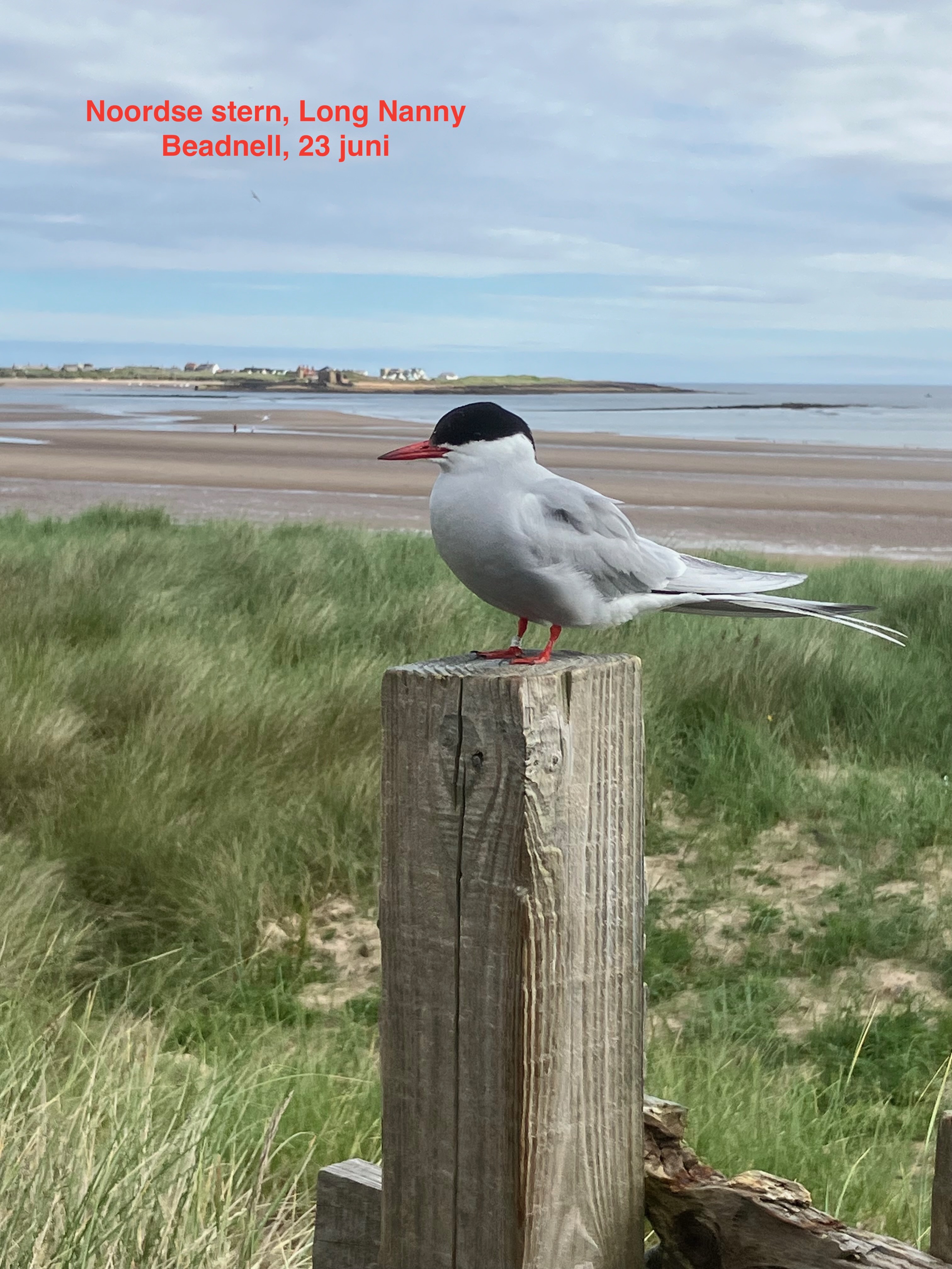 (Engeland). Foto van Ton Renniers.